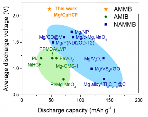 Electrochemical performance of the aqueous Mg metal battery 